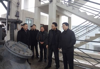 區(qū)委書記考察調研